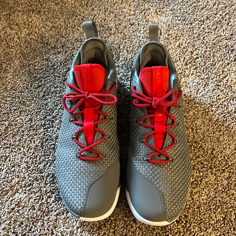 Lebron 14 Low Ohio State Exclusive